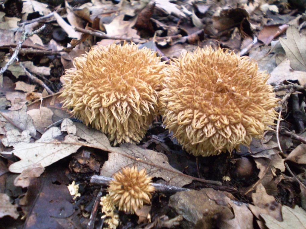 escursione 02 ottobre